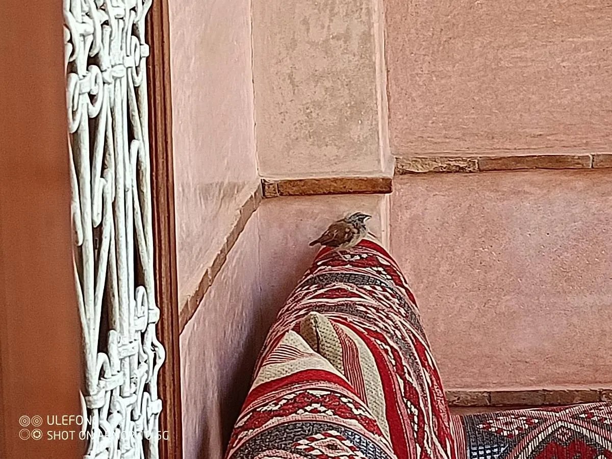 Riad Zagouda Марракеш